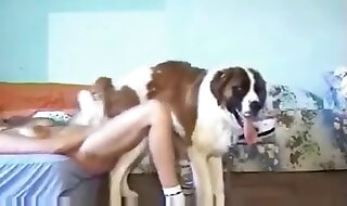 beastiality sex