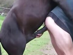 Free Zoo Porn with Dog